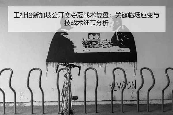 wang-zhi-yi-xin-jia-po-gong-kai-sai-duo-guan-zhan-shu-fu-pan-guan-jian-lin-chang-ying-bian-yu-ji-zhan-shu-xi-jie-fen-xi-2-484.jpg